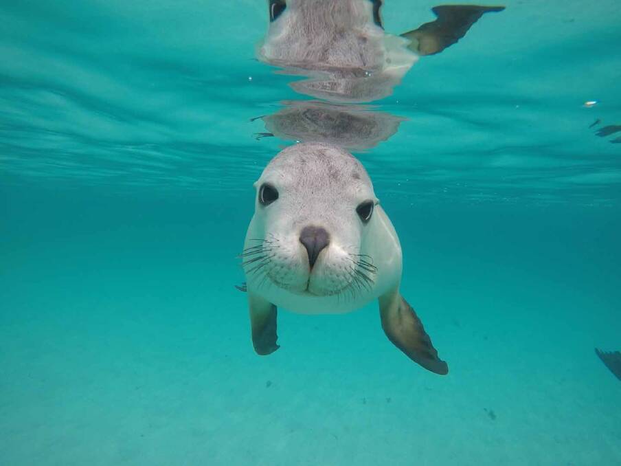 Guide to Eyre Peninsula