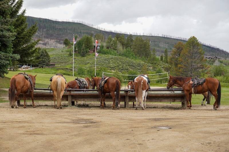 Life on a dude ranch Life on a dude ranch