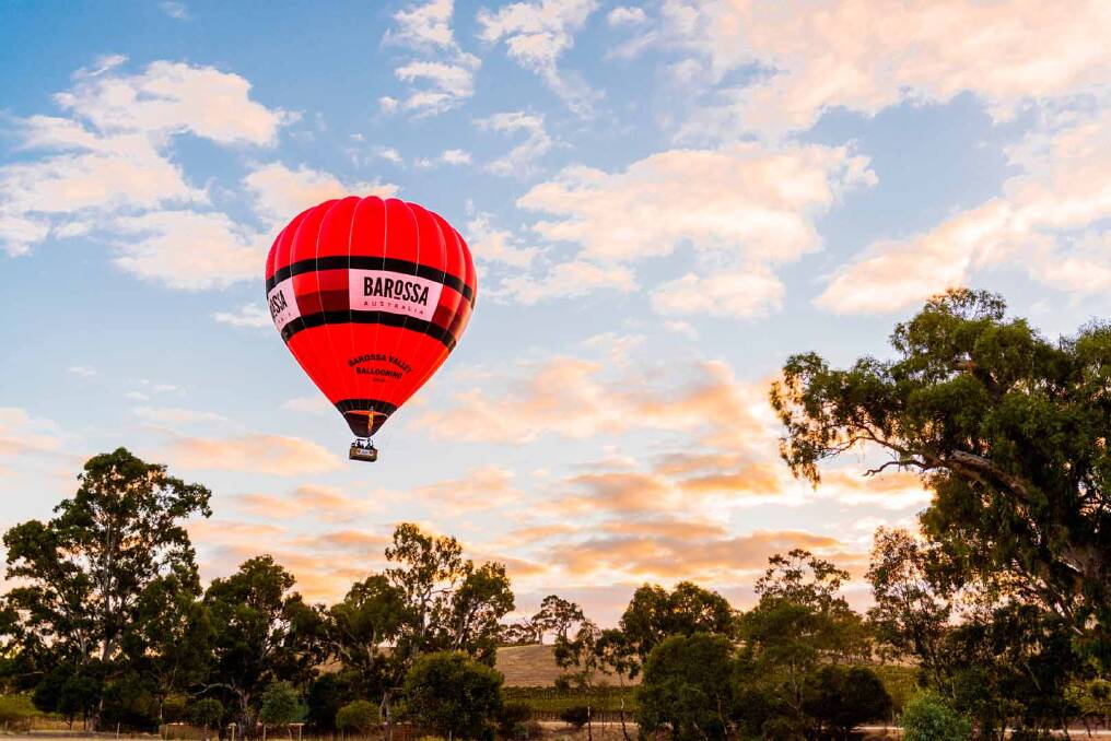 Guide to Barossa Valley Guide to Barossa Valley