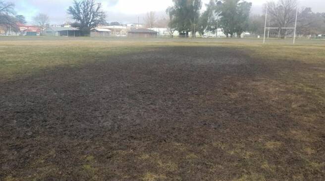 MESS: The Fisher Park pitch after the Rugby Union grand final and the Bulldogs' last home game in August 2019. 
