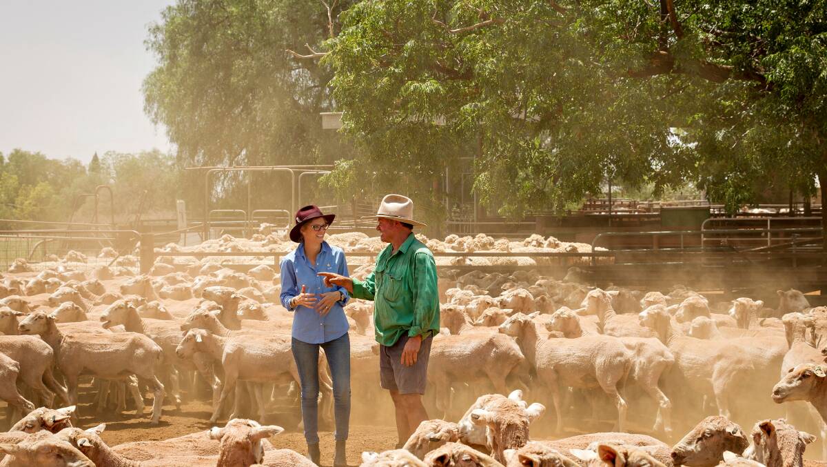 Valued: MP Steph Cooke says the legislation "sends a message that we value the food and fibre produced in NSW, and the work of the people who produce it".