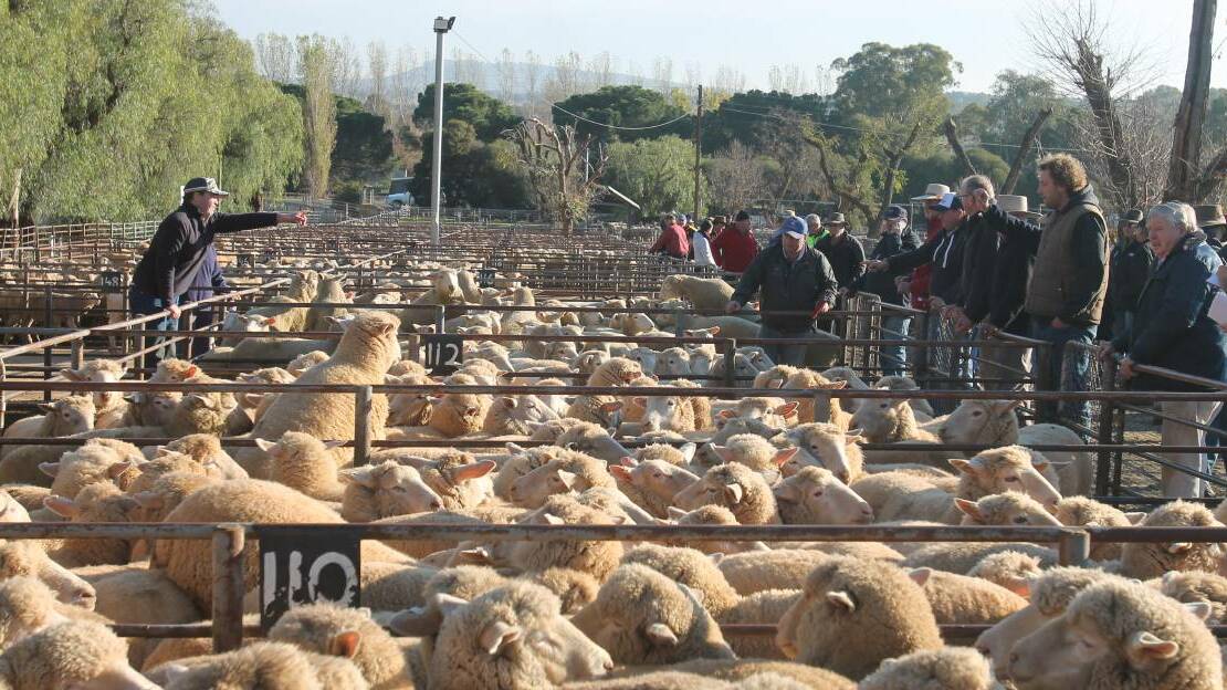 Records go off again at saleyards