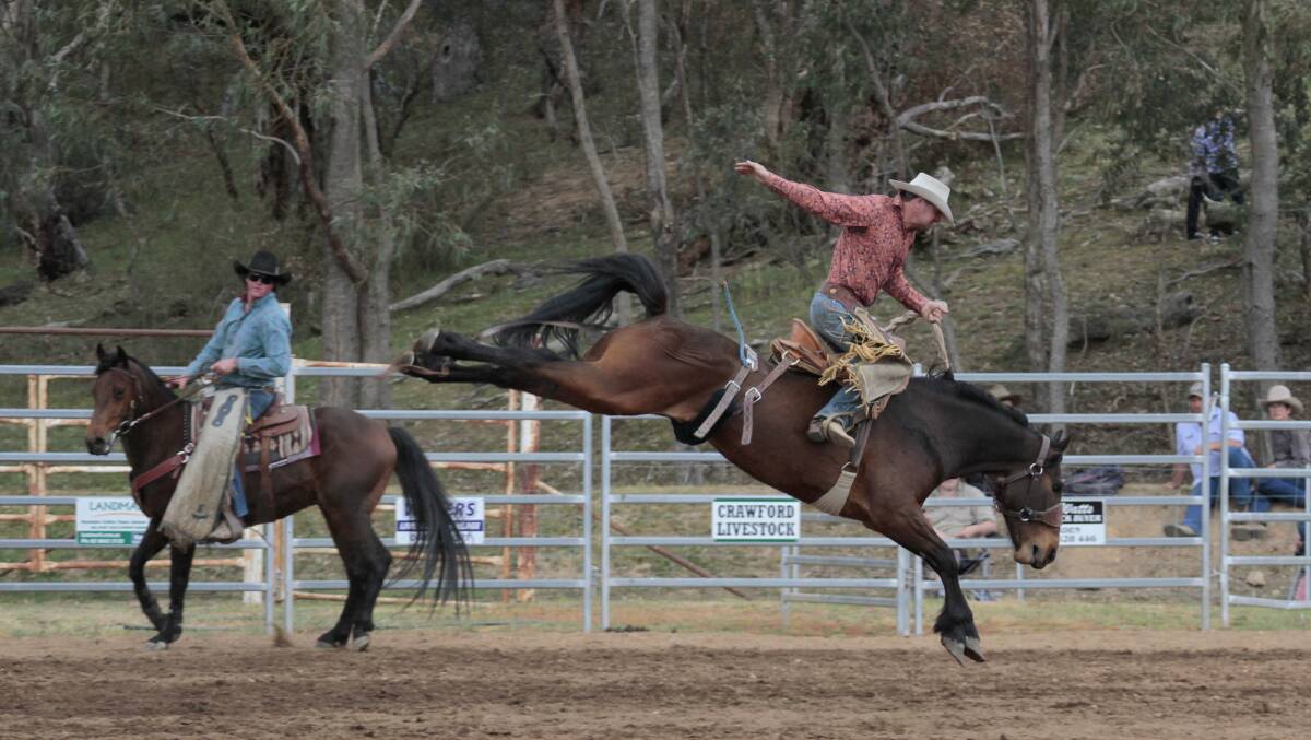 A competitor in the open bronc ride. For more photographs, turn to page 10.
