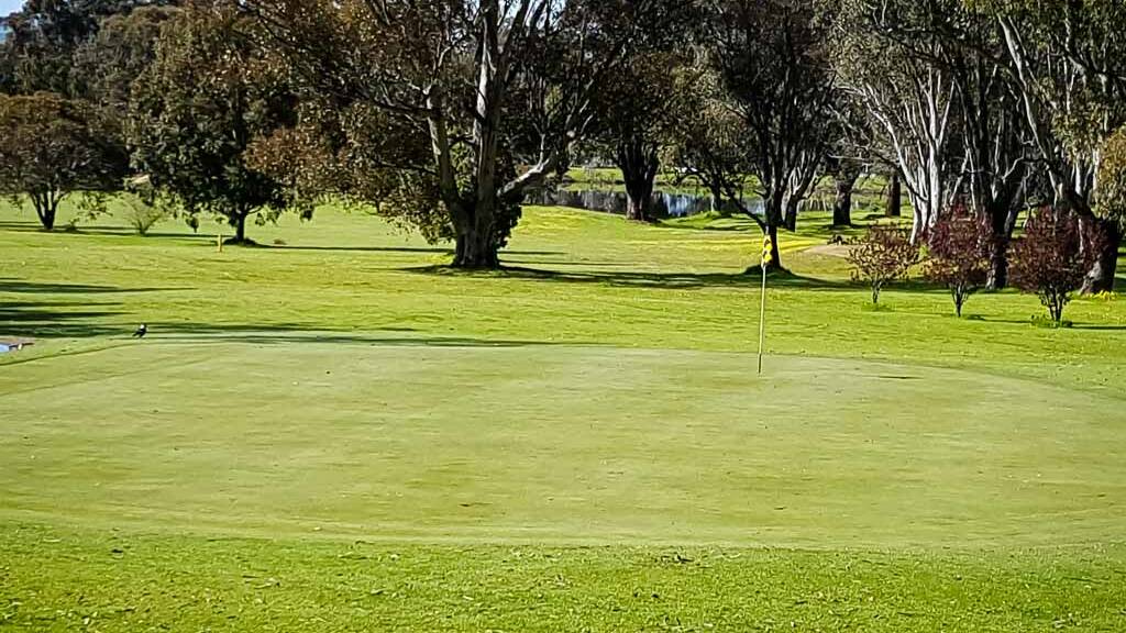 Coota golf course to get new irrigation system