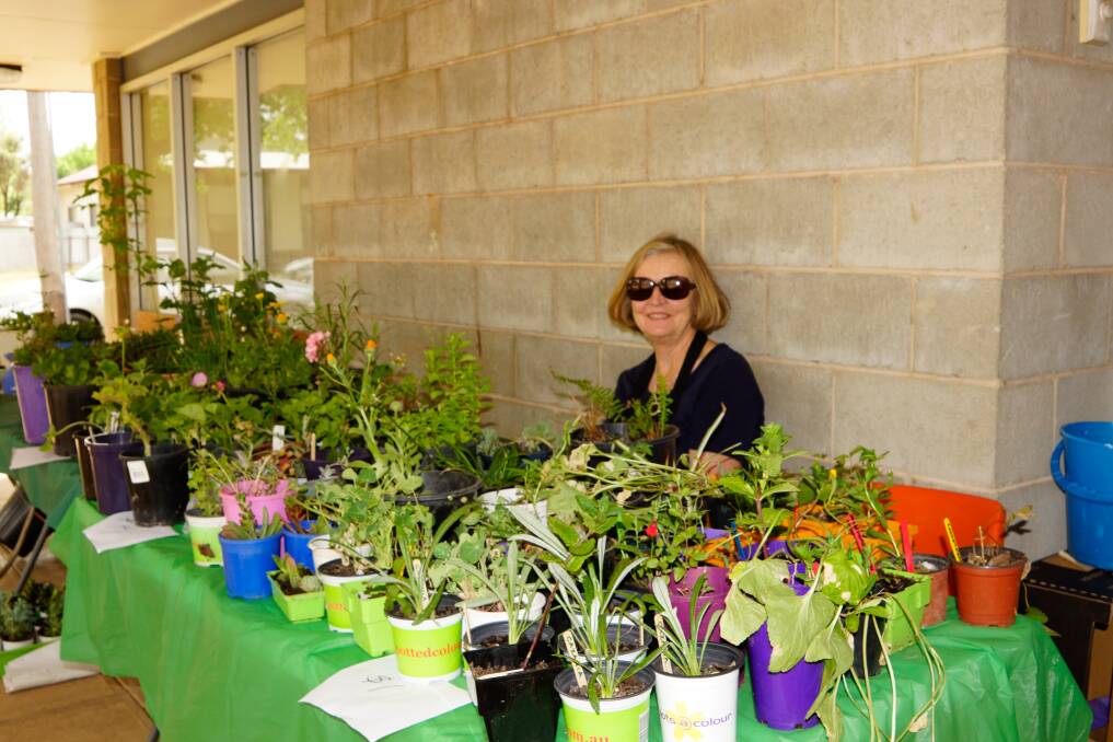 Pam Malone at the plant stall.