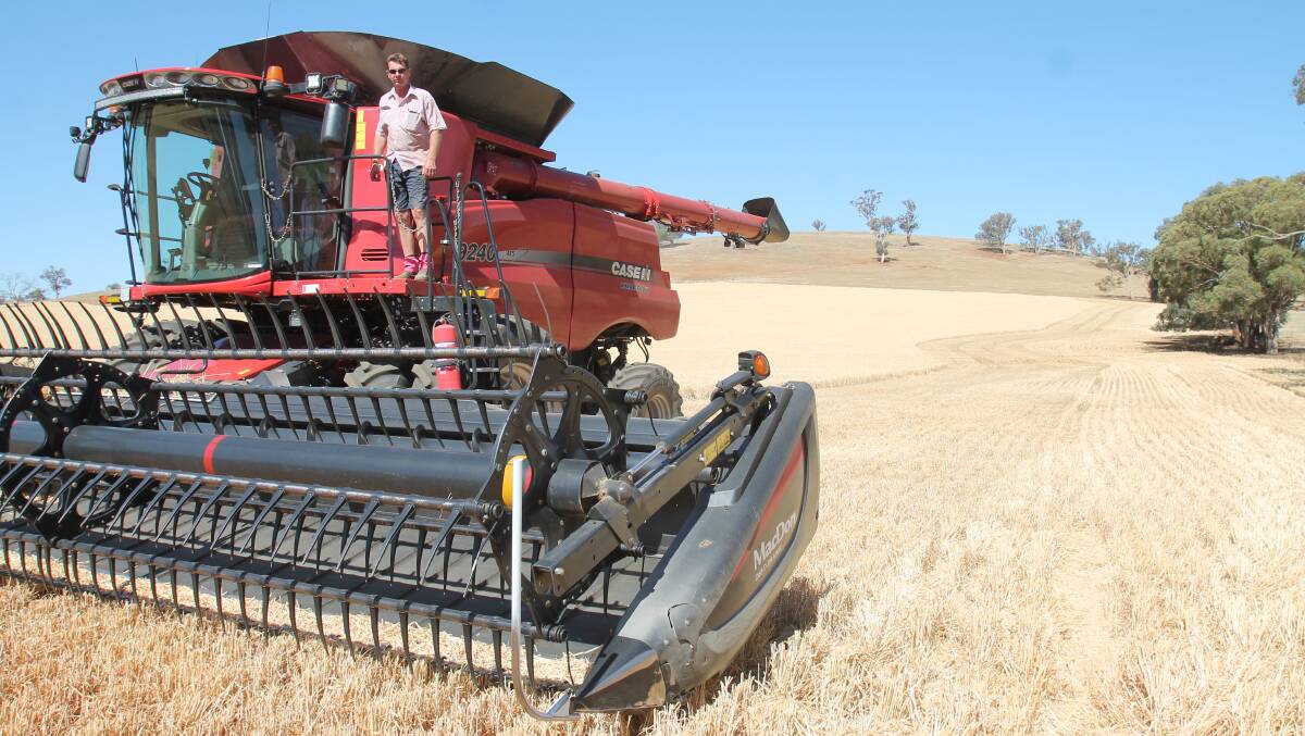 Contract harvester Jeff Davies was surprised at the good yields, sometimes over 3 tonnes per hectare, he was getting on Wednesday.