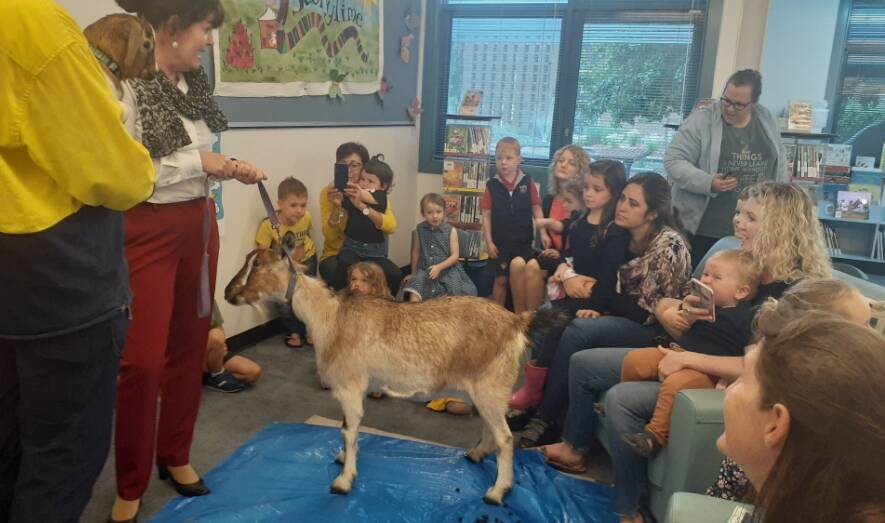Just kidding: At the Library recently children were fascinated by the goat and her kid brought in by Ranger Nicole Godber. 