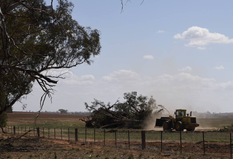 NOT EFFECTIVELY REGULATED: Farmers call for halt to land clearing
