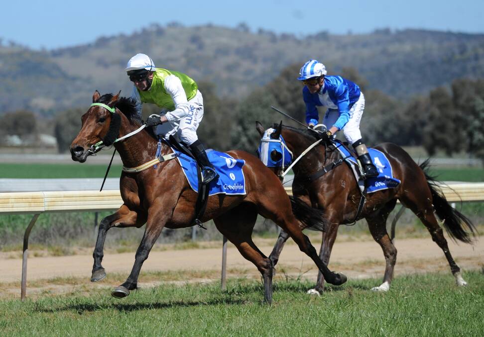 RACING: Bravado Lass in Race 2 of the Cootamundra Cup in 2017. The Cootamundra Turf Club is aiming for an even bigger and better event this year with an expanded Fashions on the Field.