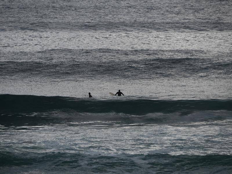 A missing Sydney surfer has been found safe on shore.