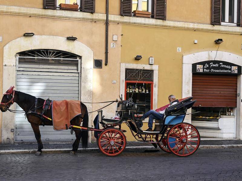 Open-topped horse-drawn carriages known as botticelle have been banned from Rome's streets.