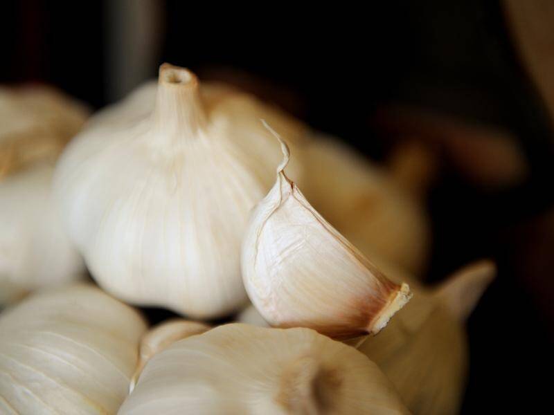 A world-first study shows unique garlic varieties can reduce the infectiousness of COVID-19 and flu. (Tracey Nearmy/AAP PHOTOS)
