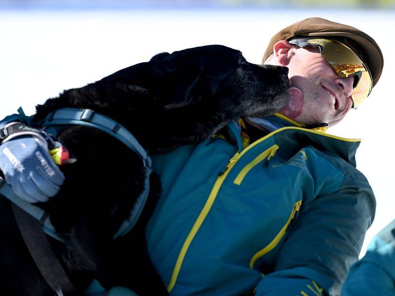 Australian para-skier Matt Brumby reckons his service dog Willow is more popular than him. Photo: HANDOUT/SPORT THE LIBRARY