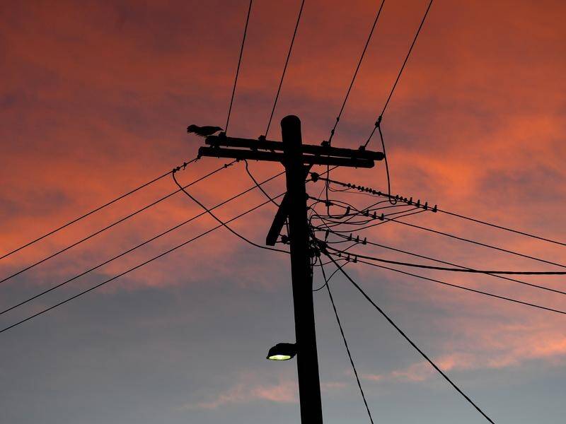 A new report says failures in Victoria's distribution network caused an Australia Day blackout.