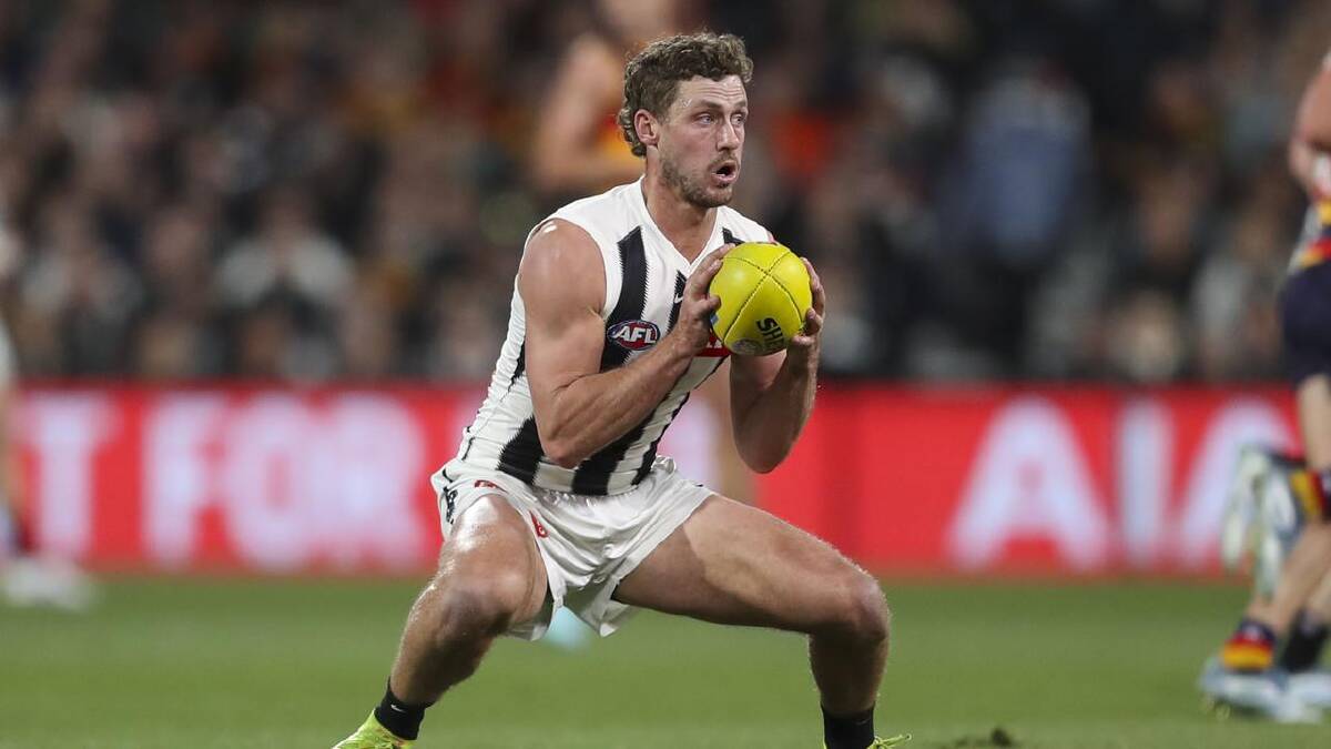 Collingwood's Harry Perryman will be kept busy while his fiancee is at the Commonwealth Games. (Matt Turner/AAP PHOTOS) Collingwood's Harry Perryman will be kept busy while his fiancee is at the Commonwealth Games. (Matt Turner/AAP PHOTOS)