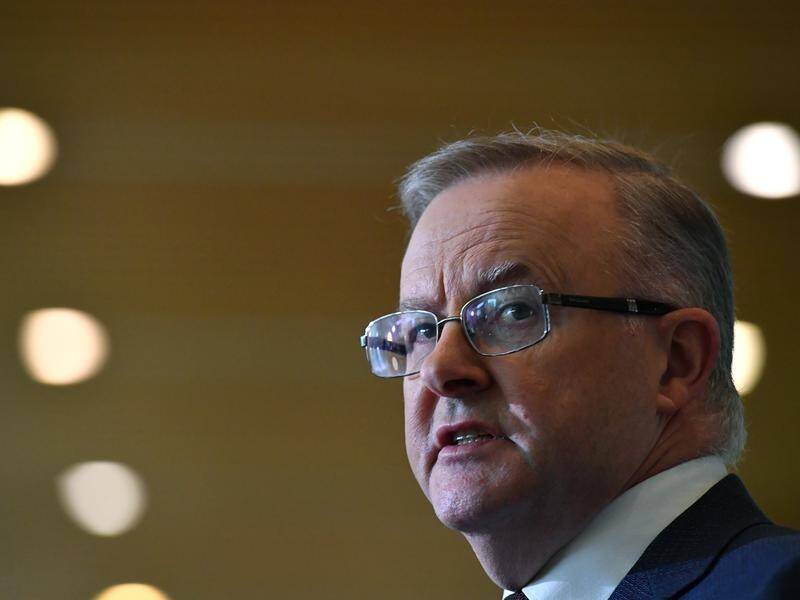 Anthony Albanese won't confirm if Labor will take its JobSeeker policy to the next federal election.