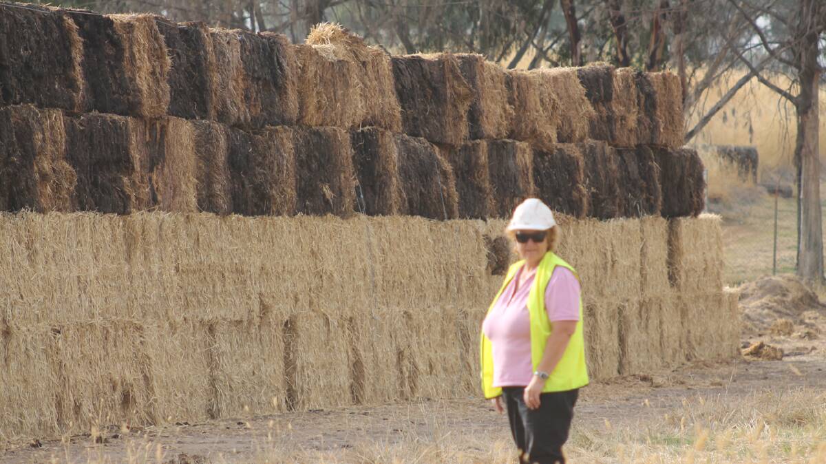 CONSTRUCTION: Cootamundra Soil Recycling Facility manager Maxine Imrie is pictured in front of the straw wall constructed at the site this week.