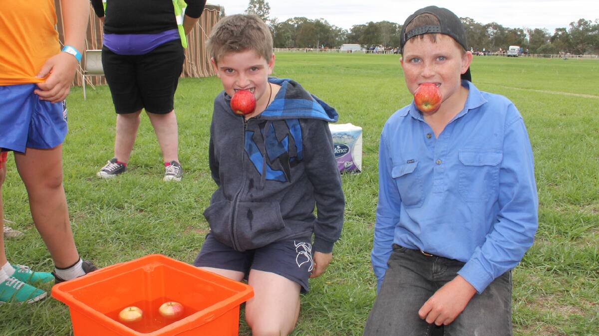 BOBBING FOR APPLES: As part of the Redneck Games Cootamundra’s Isaac Tregear (left) and Michael Perry bobbed for apples. The game was popular amongst kids at the show. 