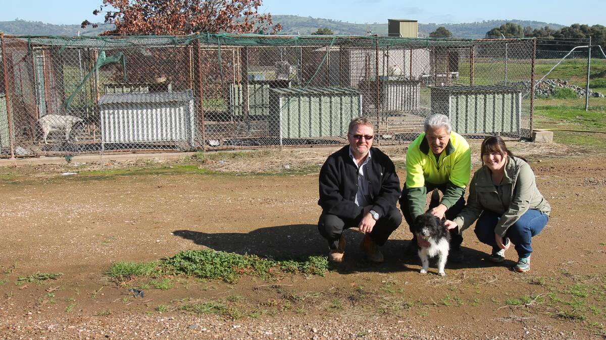 PLEASED BY DECISION: Cootamundra Shire Council compliance officer Glen McAtear, ranger Dennis Ryan and pound volunteer Hannah Orr are looking forward to work commencing on the new pound. Dennis is holding a female terrier mix currently available to a good home. She is desexed and her new owners will only need to register and microchip her at a combined cost of $71. 
