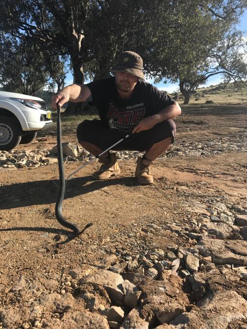 Snake Hadler Jake Cullen with a Red Belly Black snake in Bethungra. Photo: Contributed