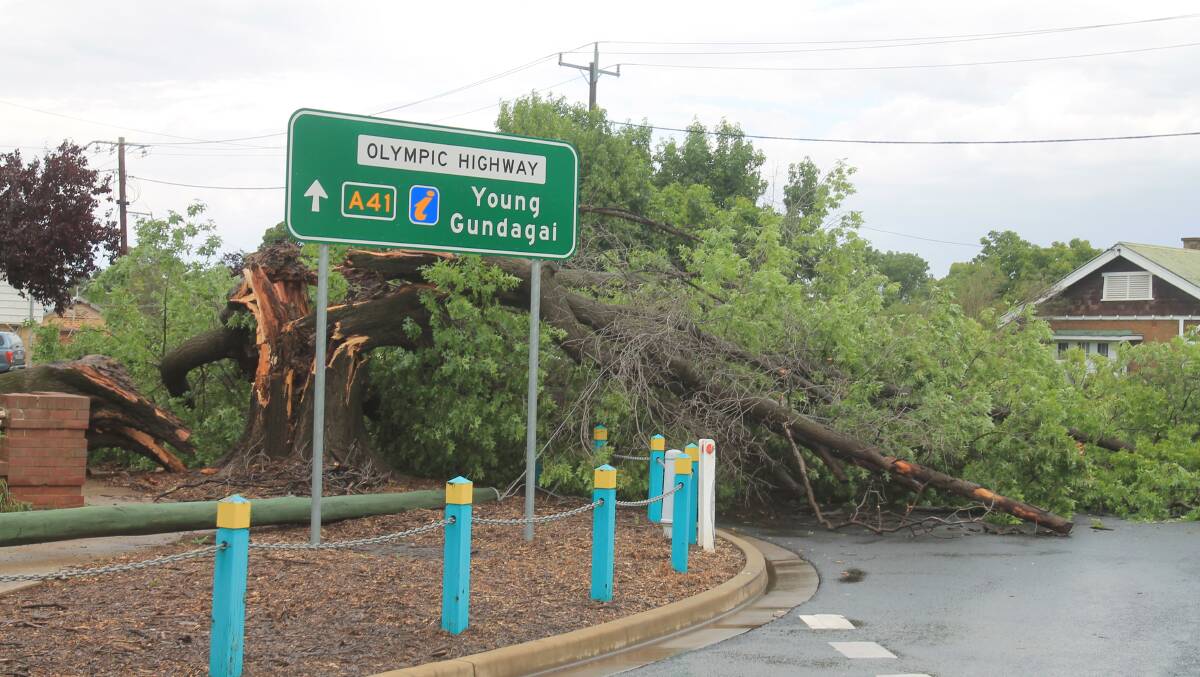WORRY: Readers are worried about large trees posing a threat to life and property and waiting on answers from council after two storms in January.