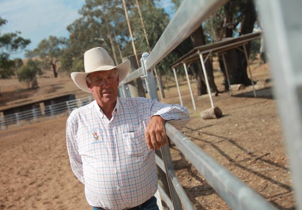 ARENA UPGRADE: Rodeo association president Francis Ross said Saturday's gymkhana would show rider skills, but also test the new arena fence. Photo: Declan Rurenga