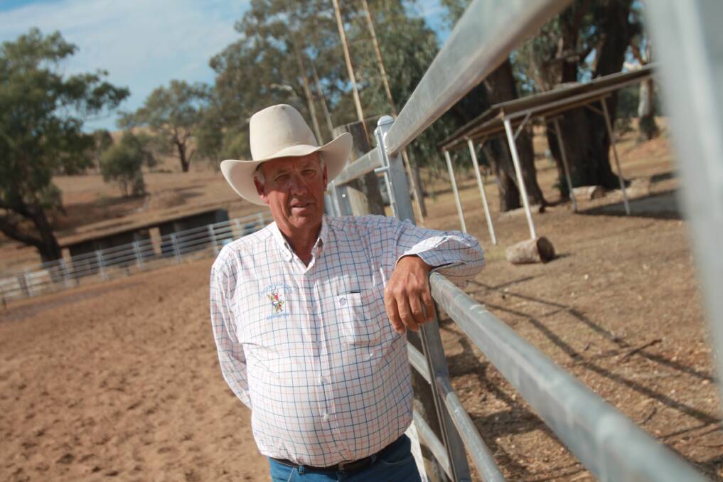 BIG SHOW: Cootamundra Rodeo president Francis Ross with the new boundaries installed ahead of the first rodeo to be held since 2012. Photo: Declan Rurenga