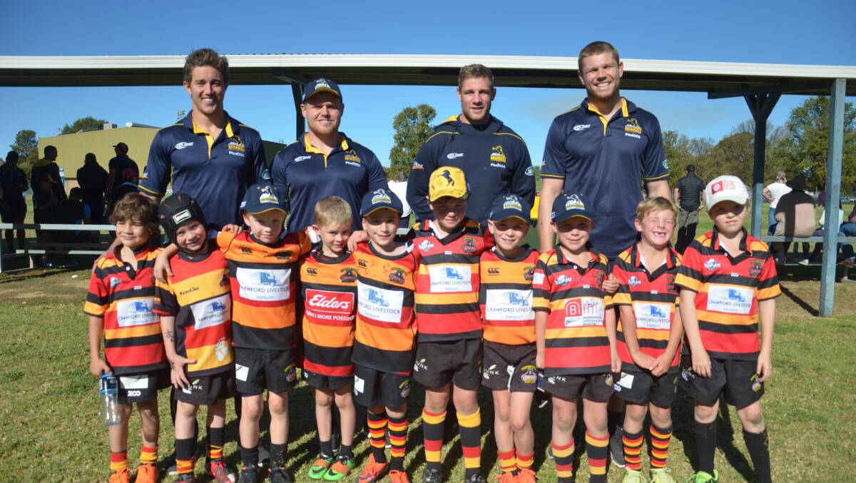 BEARS AND BRUMBIES: SuperRugby stars James Verity-Amm, Nic Mayhew, Kyle Godwin and Blake Enever with Charlie Jackson (front, left), Paddy Crawford, Fred Tait, Harry Winsor, Darcy Thompson, Henry Power, Roy Dunk, Charlie Bassingthwaite, Jake Harris and Rupert Tait. Photo: Declan Rurenga
