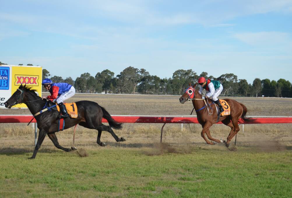 DAYLIGHT SECOND: Diamond Charlie runs home ahead of Oh What A Thief on Saturday at the Cootamundra Picnic Races. Photo: Declan Rurenga