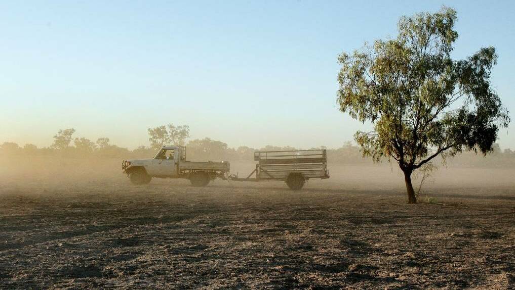 DRY TIMES: The drought has taught some farmers some very hard lessons, one agronomist says. Photo: FILE